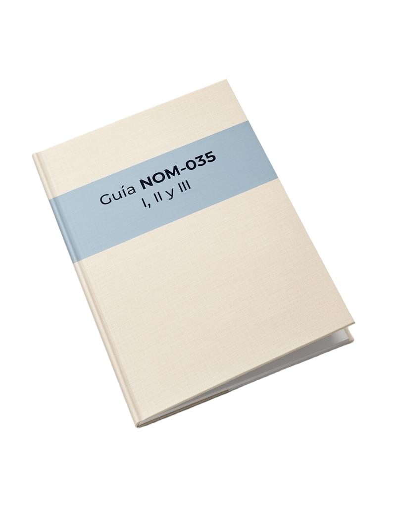 Mockup de la Guía NOM-035 I, II y III